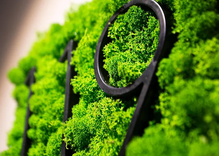 Elva Premium Inklusive Sommerpass Stubai Super Card Neustift im Stubaital